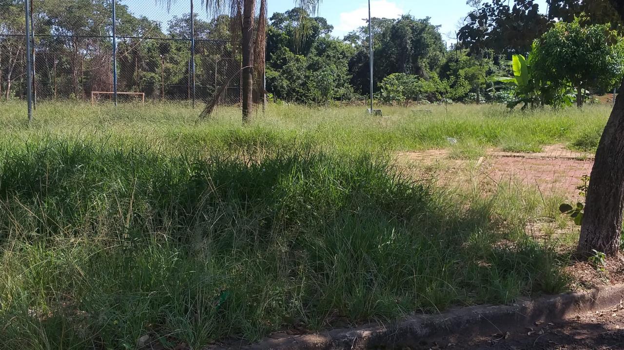 Foto 8 de 21 — Mato toma conta de praça no Maria Luiza; Prefeitura não tem prazo para zeladoria no bairro